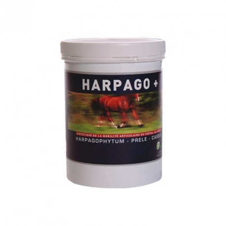 Complément alimentaire pour chevaux Harpago plus