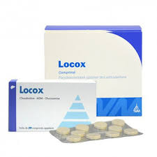 Locox anti arthrosique pour chien