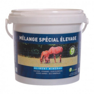 MSE entrainement chevaux