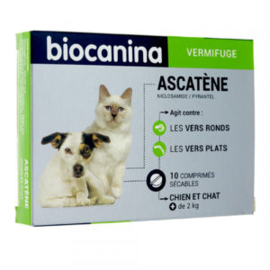 Ascatène vermifuge pour chien et chat 10 comprimés