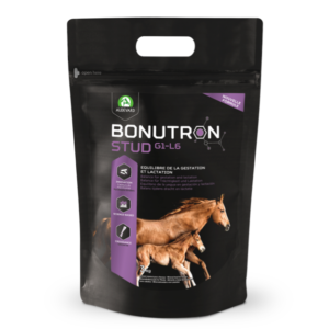 Bonutron-stud-g1-l6-3kg
