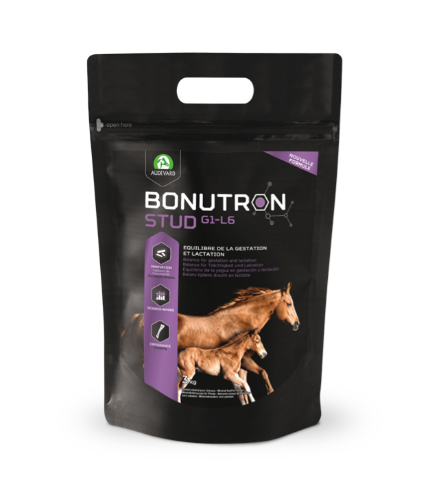 Bonutron-stud-g1-l6-3kg