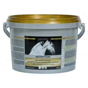 Equistro-univers-veto-chevaux