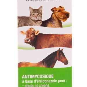 Imaveral solution antimycosique en flacon de 100ml