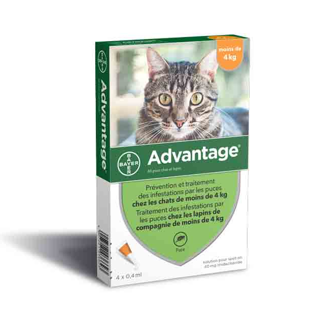 Advantage 4 pipettes antiparasitaires pour chat de plus de 4kg