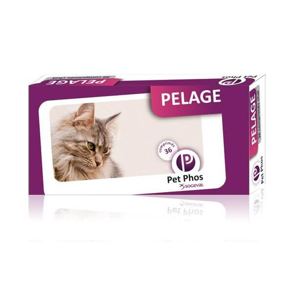 univers-veto-pet-phos-pelage-chat-poils