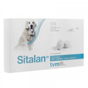 univers-veto-sitalan-vitamines-vieux-chat-chien