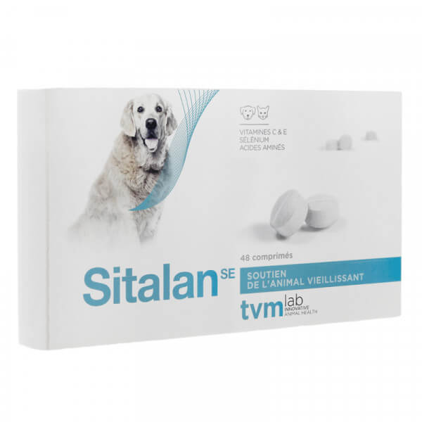 univers-veto-sitalan-vitamines-vieux-chat-chien