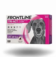 univers-veto-frontline-tri-act-antipuces-chien