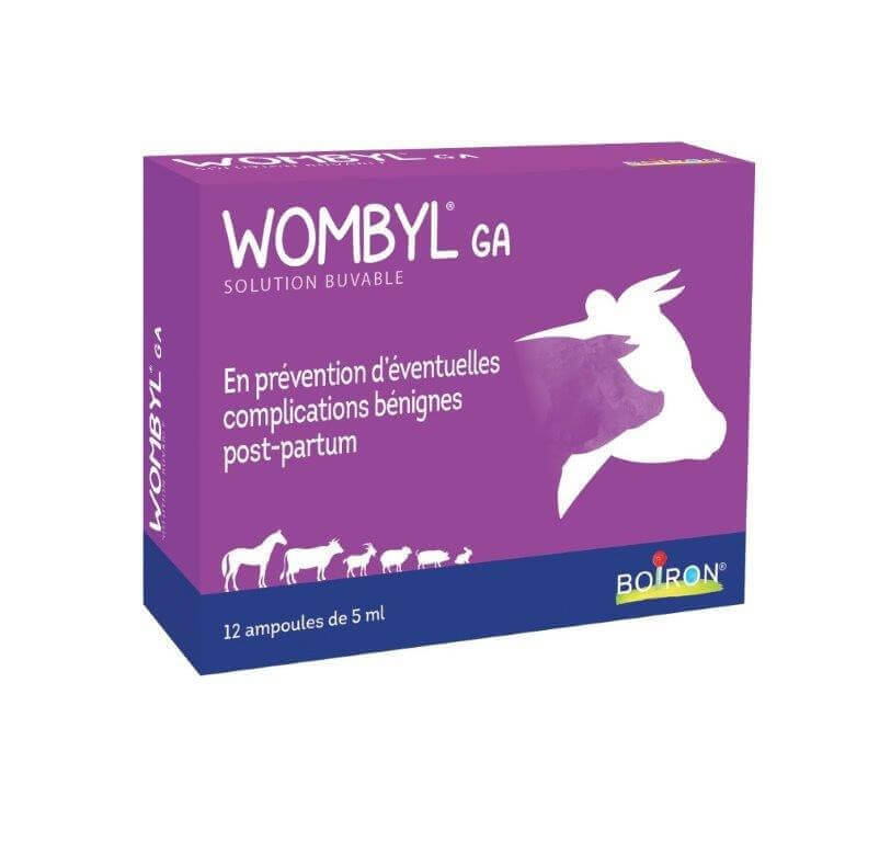 Wombyl GA ampoules buvables Boiron-1