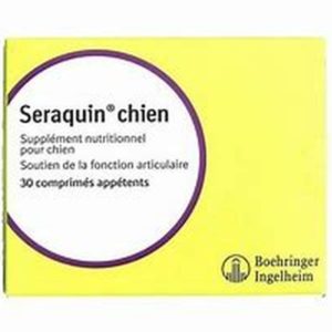 univers-veto-seraquin-chien-articulation