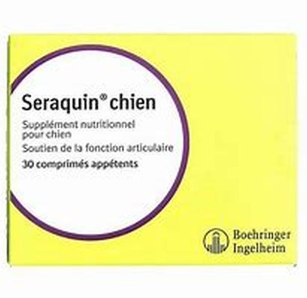 univers-veto-seraquin-chien-articulation