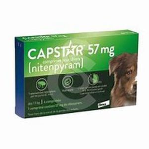 univers-veto-capstar-traitement-anti-puce-infestation