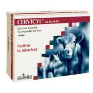 univers-veto-cervicyl-homeopathie-accouchement-mise-bas
