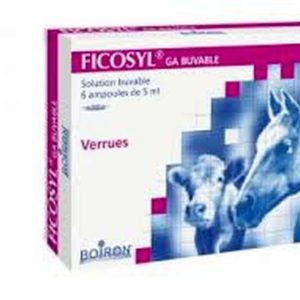 univers-veto-ficosyl-verrue-homeopathie