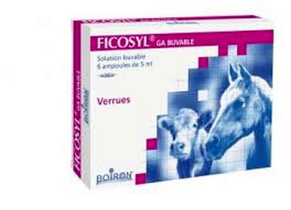 univers-veto-ficosyl-verrue-homeopathie