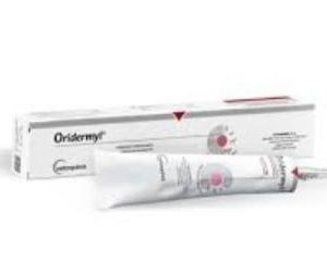 Oridermyl pommade auriculaire - 10 g
