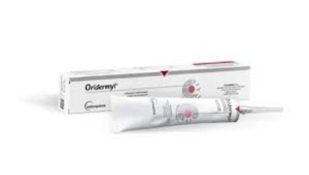 Oridermyl pommade auriculaire - 10 g